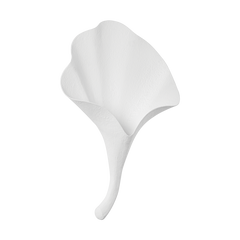 Gesso White