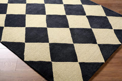 Isaac VVIS2301 Handmade Rug